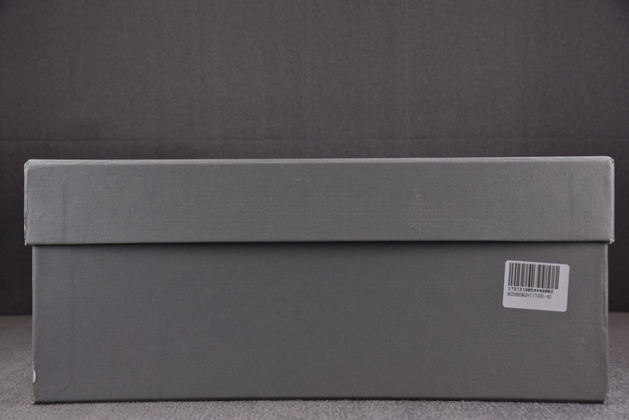 Balenciaga Steroid 6000160